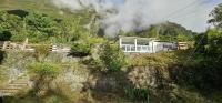 les Montbretias - B&B Cilaos