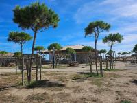 Appartement T3 climatisé avec vue sur mer - Ferienwohnung Fleury