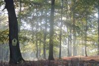 Ferienwohnung Deutschmann - B&B Schmannewitz