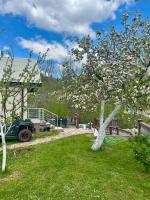 Mont Peak Apartment - B&B Kolašin