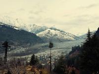 Offbeat Homestay - The Mountain House Manali - B&B Bashist