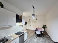Apartment Lino - B&B Rijeka