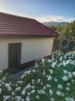Appartamento Leccino con piscina - Riva Trigoso - B&B Sestri Levante