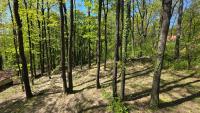 Forest House Bukulja - Chambres d'hôtes Aranđelovac