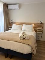 Apart Lyon Suite - B&B Santiago del Cile