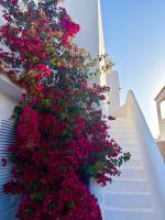 Villa Alegria Cala Egos - Bed and Breakfast Cala d'Or