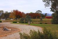 Wattleseed Cabin at Homewood Lodge - B&B Homewood