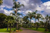 Palmera Guest House - B&B Krugersdorp
