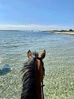 Familienzeit Natur Hof Fehmarn - Ferienwohnung Fehmarn