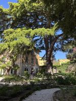 Villa Olivi - B&B Perugia