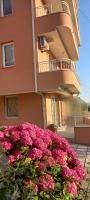Boris & Matej Apartments - B&B Ocrida