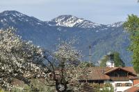 Landhaus Jörg - Giebelwohnung Gipfelstürmer mit Balkon, naturnahe Lage, Hunde willkommen - B&B Rettenberg
