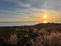Havsnära stuga, Falkenberg - B&B Falkenberg