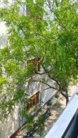 Kashi Green Stay - Ferienwohnung Varanasi
