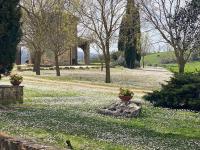 Il Grottino di Saturnia - Chambres d'hôtes Saturnia