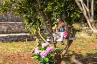 Holiday Home Grubišić - Bed and Breakfast Mirce