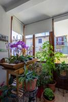 Il Cortile di Mamma Mia - Ferienwohnung Pisano