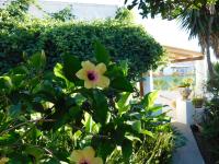 Case La Pergola - Ferienwohnung Stromboli