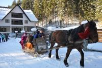 Perla Padurii - Bed and Breakfast Valea Mare