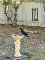Beach & Forest Stay - B&B Port Arthur