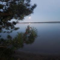 Blick zum See - B&B Laasow