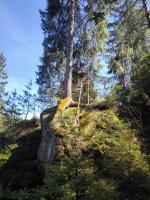 Ferienwohnung Schwerg - B&B Hohnstein