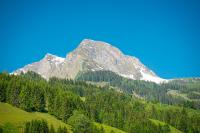 Landhaus Rosner - B&B Dorfgastein