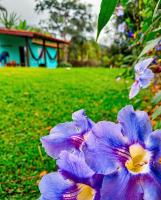 Morada das Oliveiras - B&B São Bento do Sapucaí