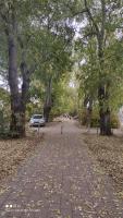 Apartmani Trivunov -Studio 1 - Ferienwohnung Peterwardein
