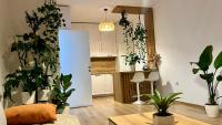 Plant apartment - B&B Tirana