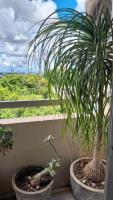 Apto novo região central - Ferienwohnung Cuiabá