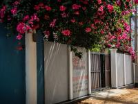 Surf & Relax A-bay - B&B Arugam Bay