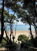 The Coastal Forest Retreat - Bed and Breakfast Barton on Sea