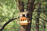 Treetops Marloth Park - Bed and Breakfast Marloth Park