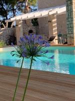 La Pineta - B&B Bisceglie