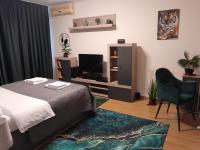 Ummagumma Studio Apartment - Chambres d'hôtes Bucarest