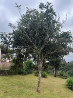 Cinderela - B&B Campos do Jordão