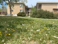 10 min to Red Rocks & KING BED & 7min to I70 & DT Golden & STR-25-0009 - Chambres d'hôtes Golden