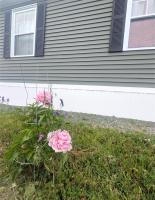 3 Bedroom Entire Windmill Coast Retreat - Chambres d'hôtes Glace Bay