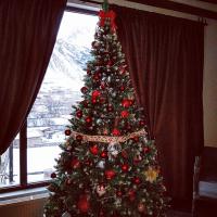 Camera Matrimoniale con Vista Montagna