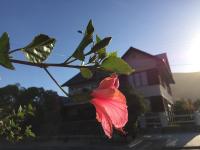 Casapapudo Boutique Home - Bed and Breakfast