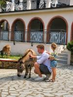 Fattoria Cristina Cozy Duplex with Pool, Animals & Panoramic Terrace near Cinque Terre - Bilo Verde - B&B Castelnuovo Magra