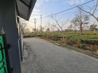 Camellia The Bungalow - B&B Dibrugarh