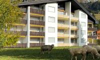 Triangel D Sieben - B&B Parpan
