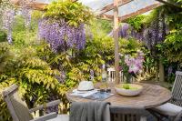 Wisteria - Swimming pool access - B&B Dittisham