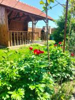 Casa Cami - Bed and Breakfast Jurilovca