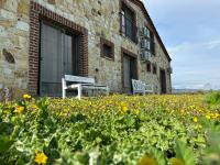 Zeytince Doğa Evi - Chambres d'hôtes Foça