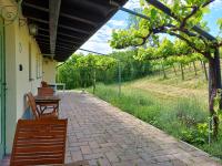 Calice dei Cherubini - Bed and Breakfast Montecalvo Versiggia