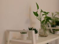 Chuncheon Dodostay - B&B Chuncheon