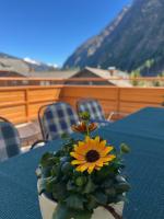 Ferienhaus Alpenblick, ganzes Ferienhaus, 5 Zi, 4 Bäder, gratis Parkplatz, Sonnenterrasse - Chambres d'hôtes Heiligenblut